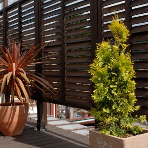 deck-terrace03W
